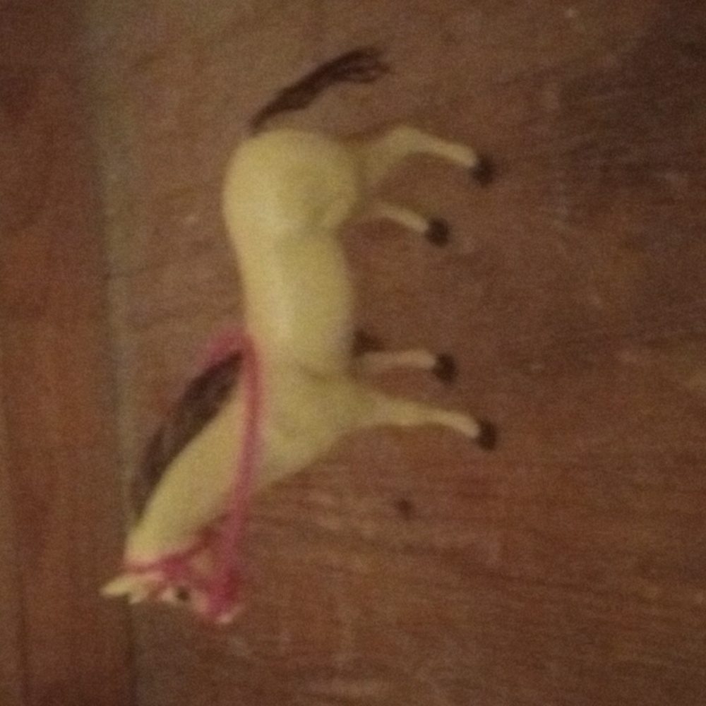 Toy horse 🐎